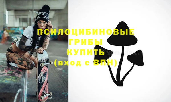 а пвп мука Елизово