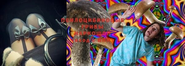 a pvp Ельня