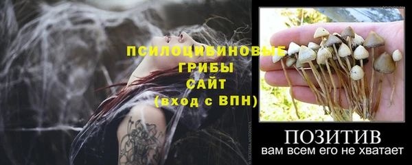 а пвп мука Елизово